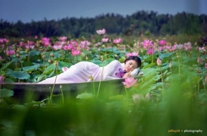 Bộ ảnh Nàng Sen của Giao Linh