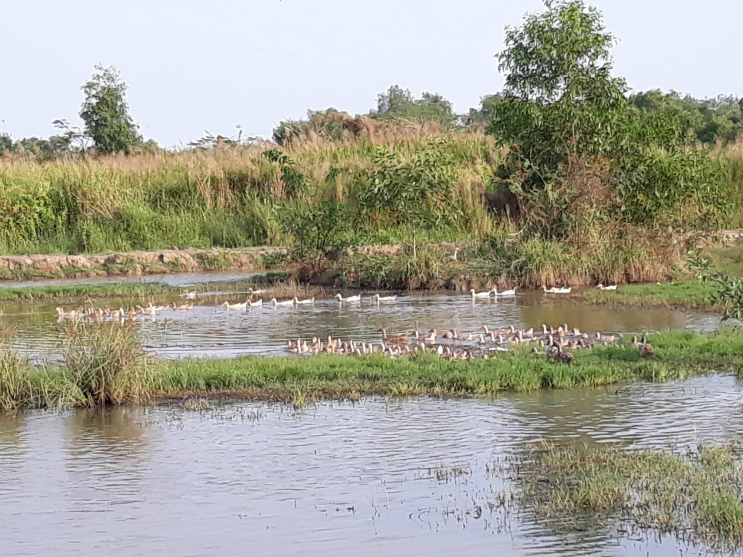 Cum CN Nhut Thanh 6