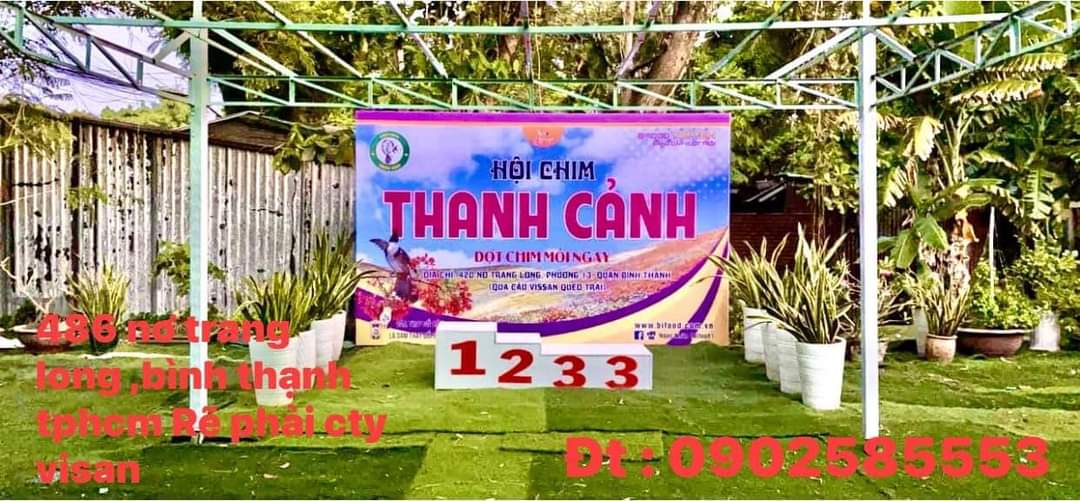 Chim dau truong 8